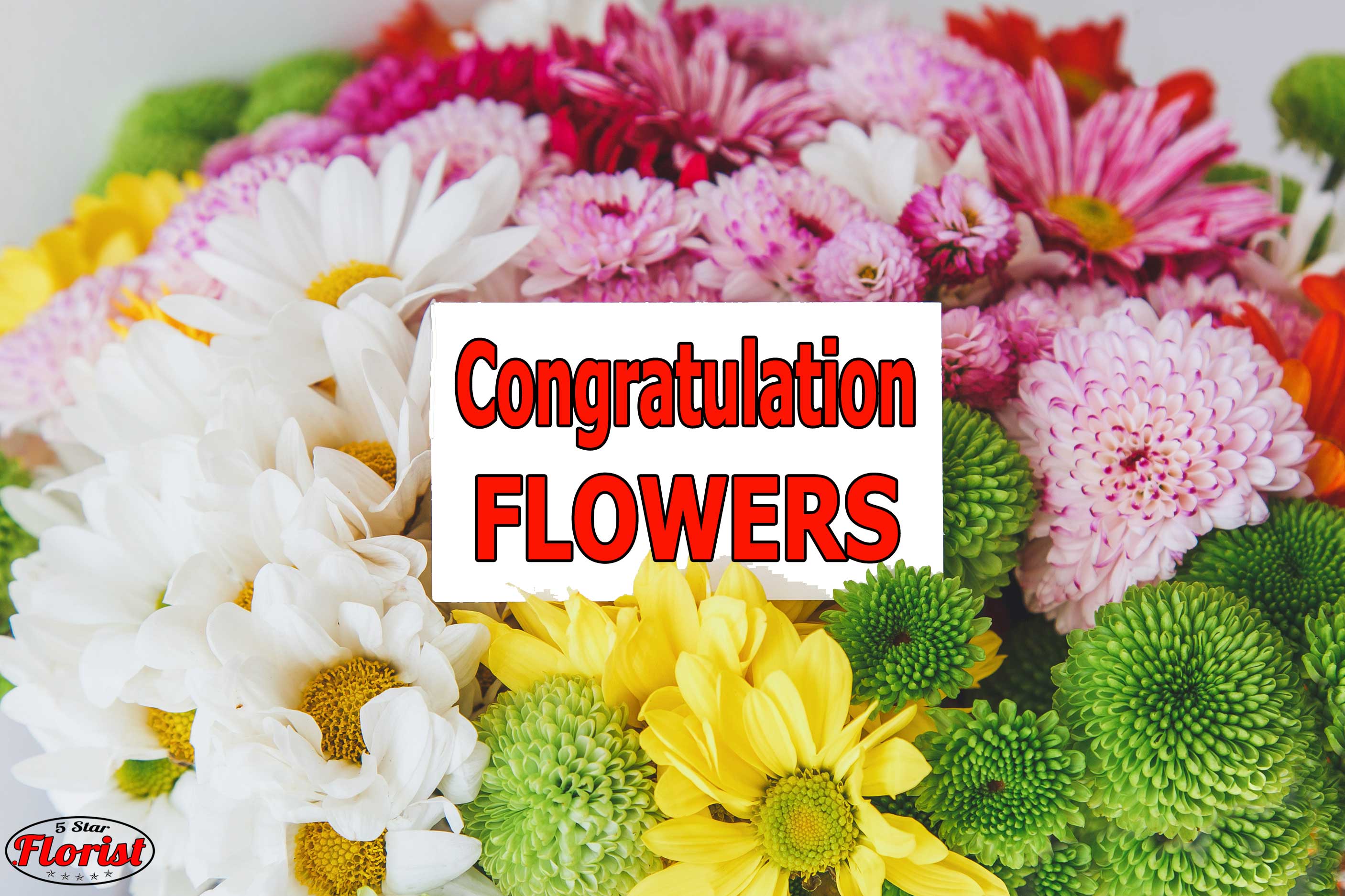 congratulations flowers Akron