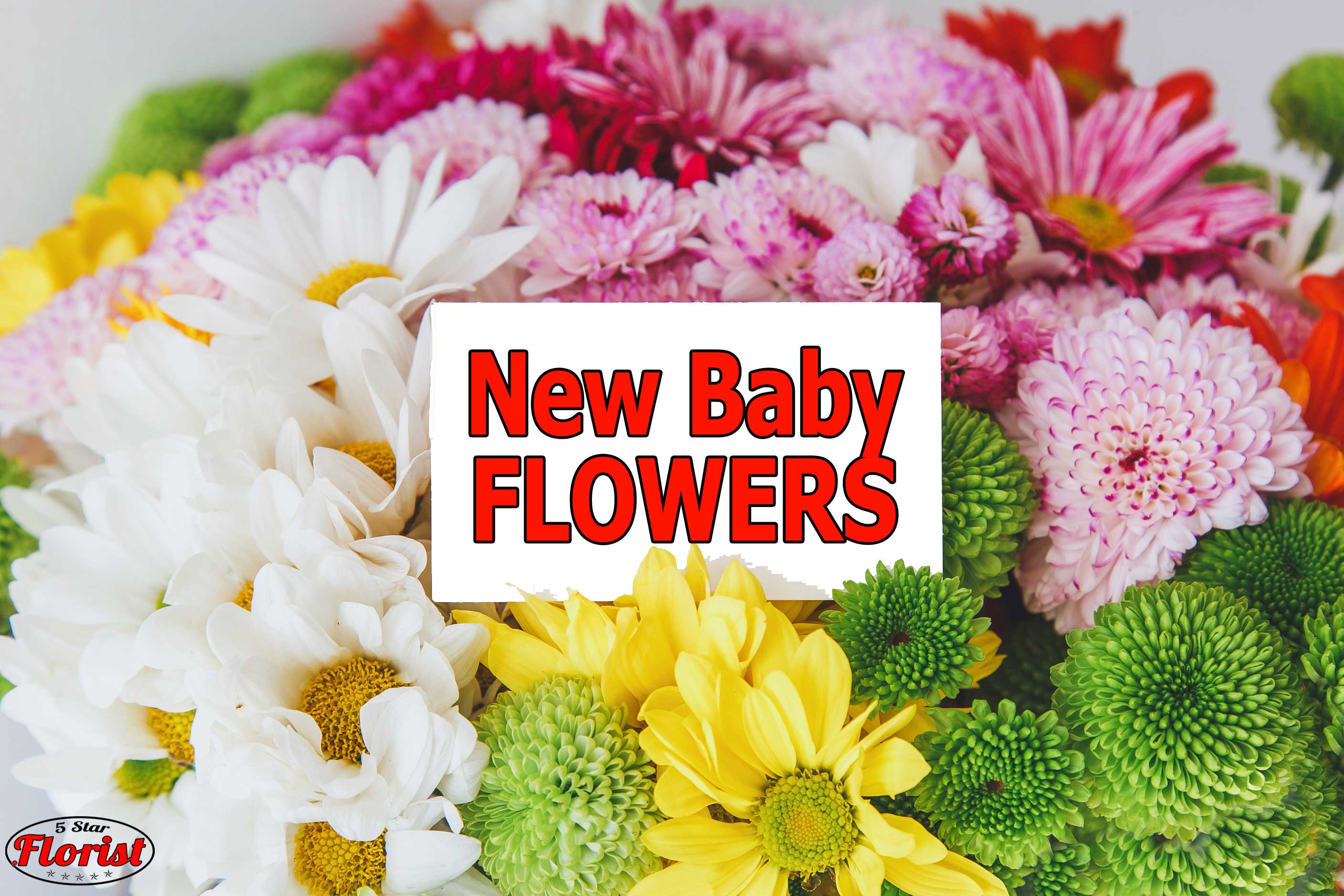 new baby flowers Akron